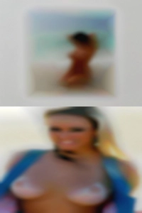 Manga and video sex games.